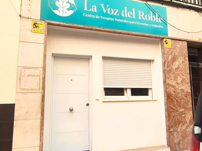 Local comercial de 1 dormitorios en Elche, Costa Blanca — foto 3 de 6
