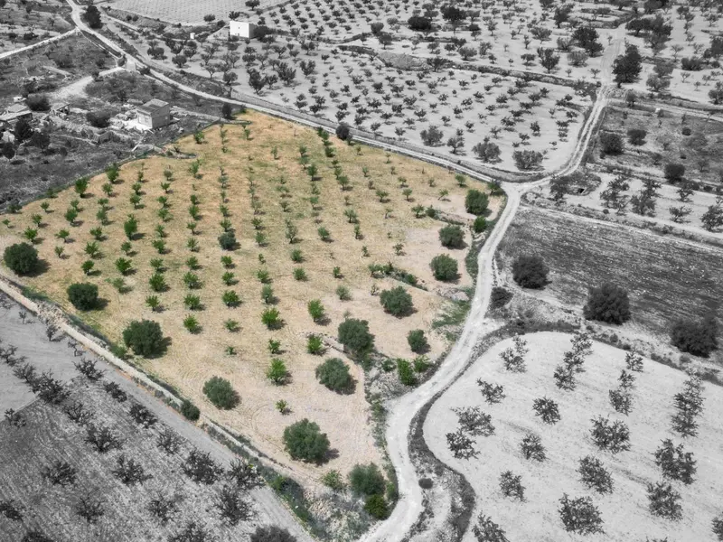 Terreno en La Romana, Costa Blanca