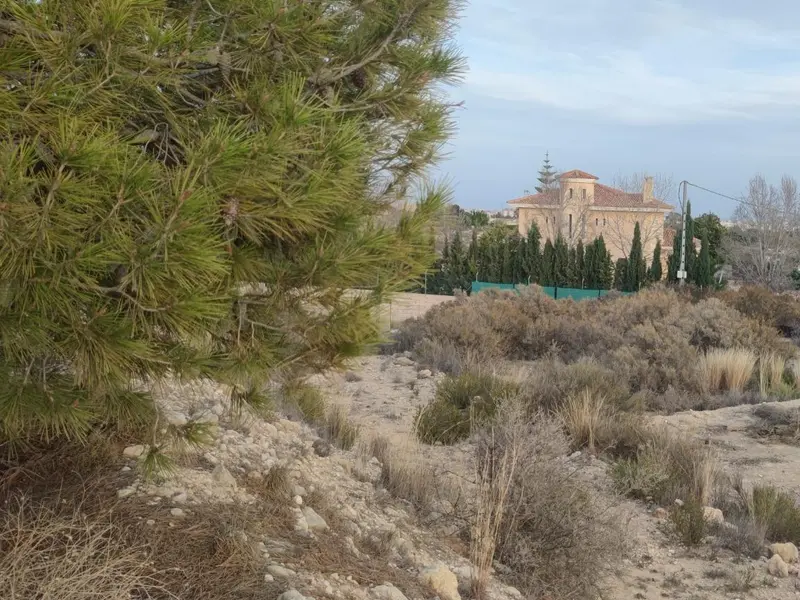 Land in Elche, Costa Blanca — photo 3 of 14