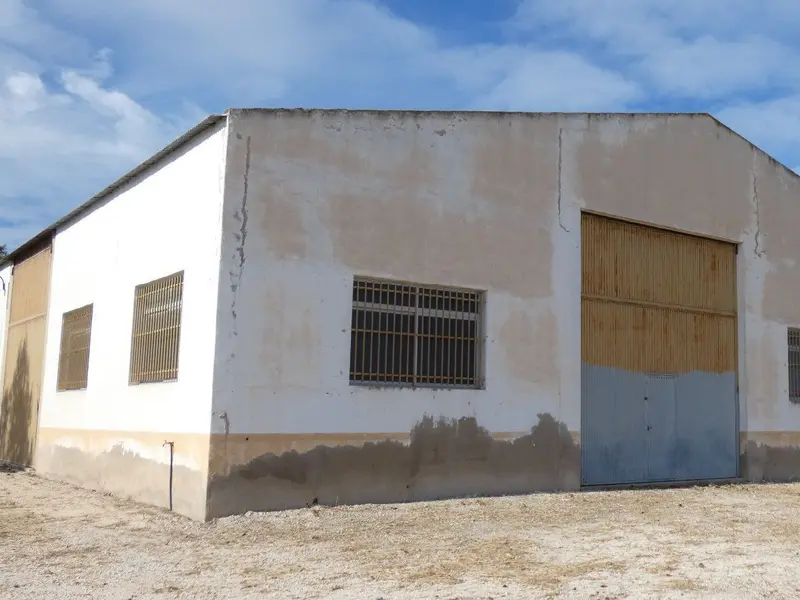 Local comercial en Dolores, Costa Blanca — foto 29 de 30