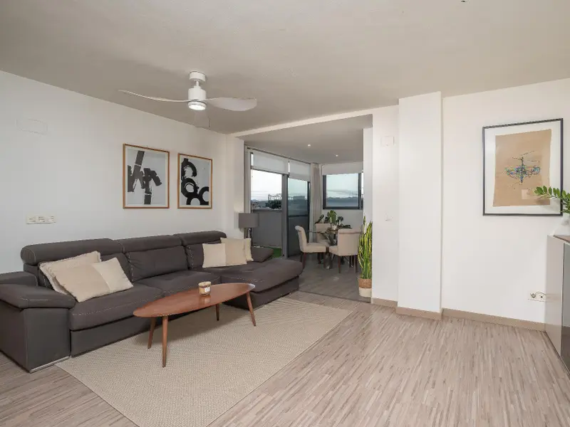 Penthouse with 3 bedrooms in Elche, Costa Blanca — photo 3 of 30