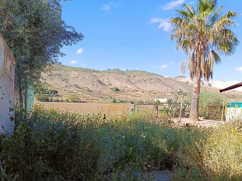 Villa de 3 dormitorios en Hondón de las Nieves, Costa Blanca — foto 4 de 29