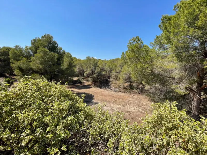Villa de 7 dormitorios en Alfaz del Pi, Costa Blanca — foto 9 de 30