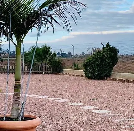 Villa de 4 dormitorios en Dolores, Costa Blanca — foto 19 de 30