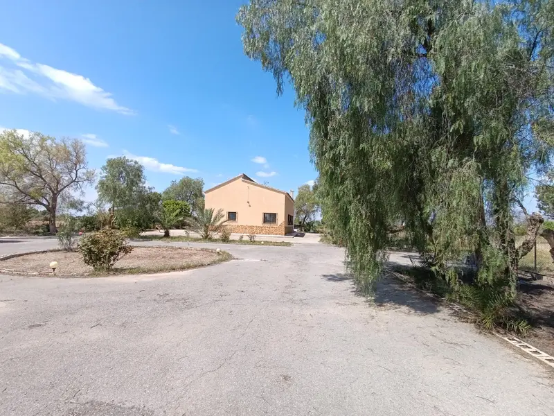 Villa mit 4 Schlafzimmern in Elche, Costa Blanca — Foto 12 von 24