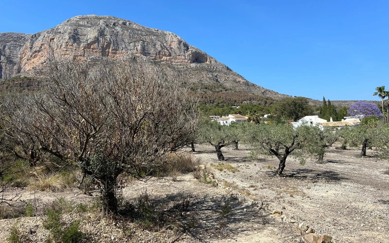Земельна ділянка у Jávea, Коста-Бланка — фото 1 з 10