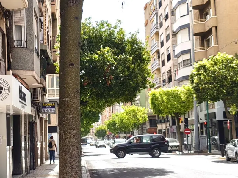 Local comercial de 1 dormitorios en Elche, Costa Blanca — foto 3 de 5
