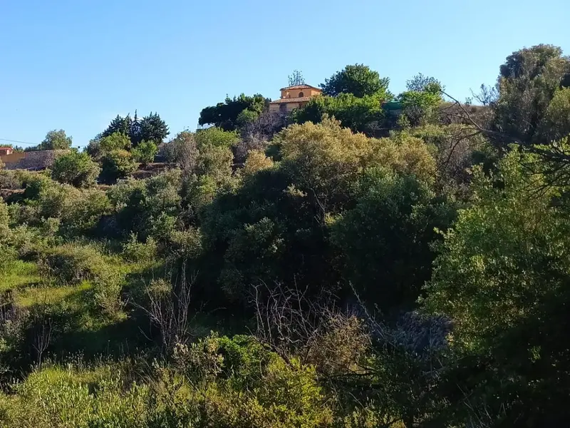 Casa de campo en Desconocido, Costa Blanca — foto 4 de 15