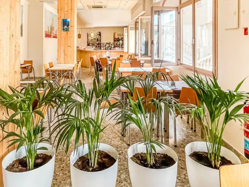 Комерційне приміщення у El Campello, Коста-Бланка — фото 13 з 25