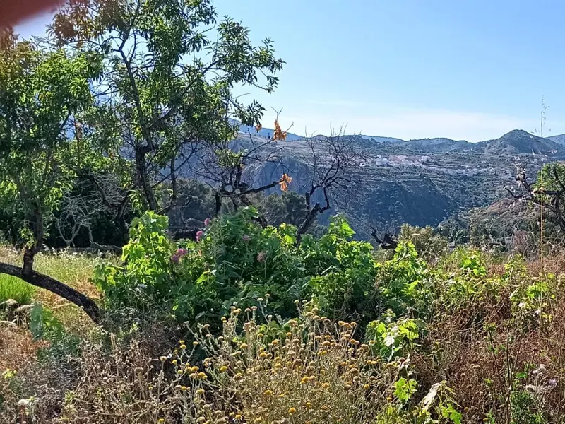 Casa de campo en Desconocido, Costa Blanca — foto 9 de 15