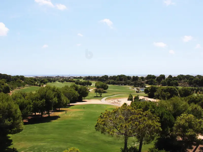 Villa with 3 bedrooms in Pilar de la Horadada, Costa Blanca — photo 5 of 30