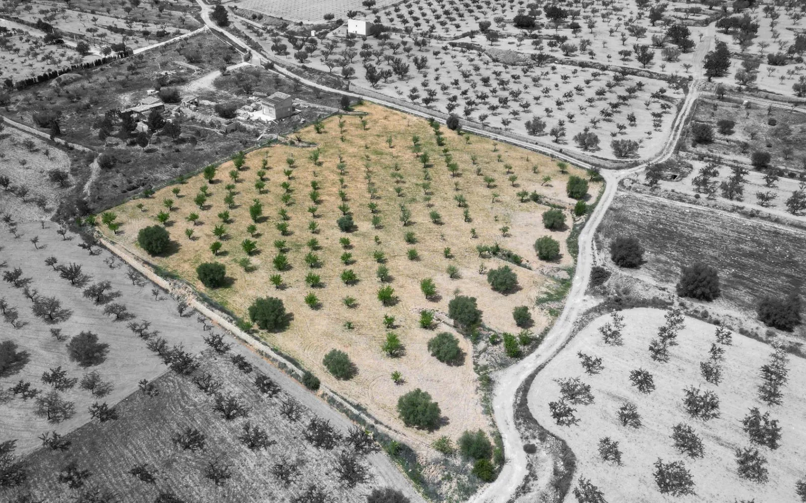 Land in La Romana, Costa Blanca — photo 1 of 16