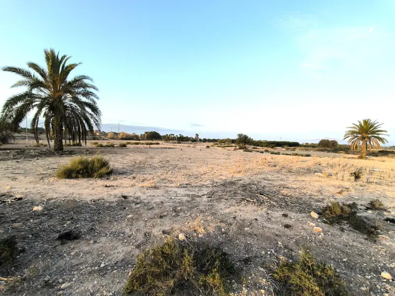 Landhaus in San Fulgencio, Costa Blanca — Foto 7 von 30