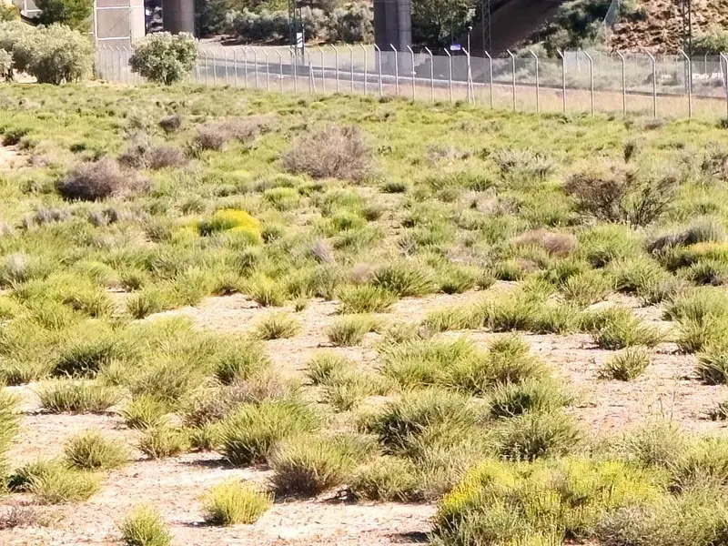 Landhaus in Desconocido, Costa Blanca — Foto 2 von 6