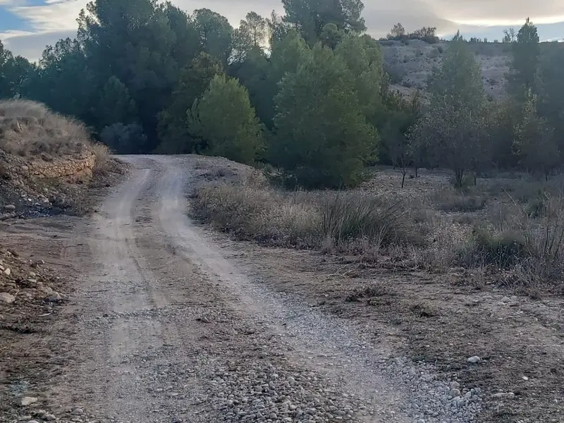 Landhaus in Monóvar, Costa Blanca — Foto 8 von 29