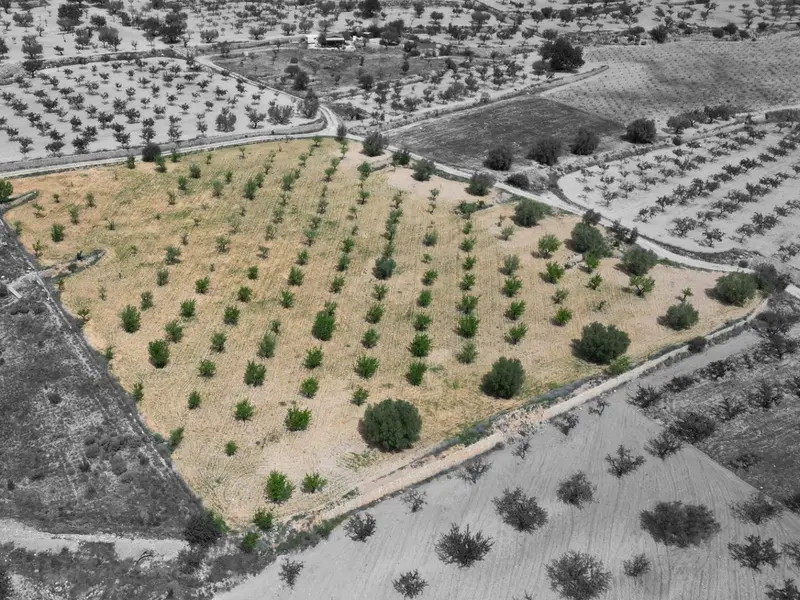 Land in La Romana, Costa Blanca — photo 3 of 16