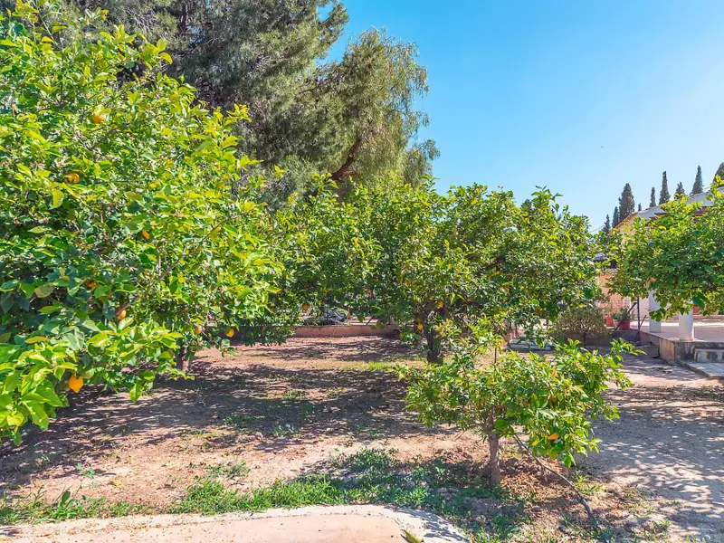 Villa mit 4 Schlafzimmern in Alicante, Costa Blanca — Foto 19 von 30