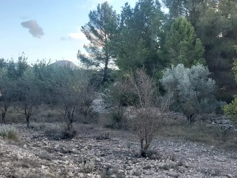 Landhaus in Monóvar, Costa Blanca — Foto 6 von 29