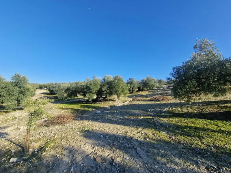 Загородный дом en Desconocido, Costa Blanca — фото 4 из 15