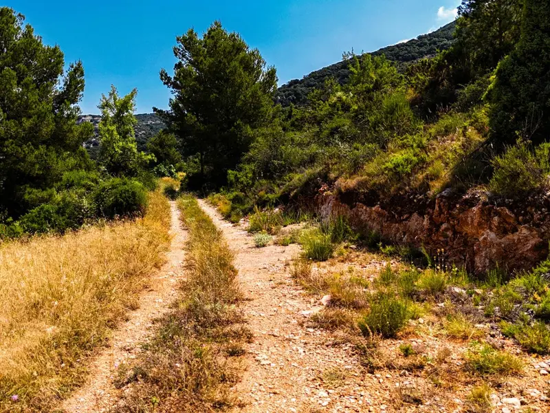 أرض en Desconocido, Costa Blanca — صورة 10 من 30