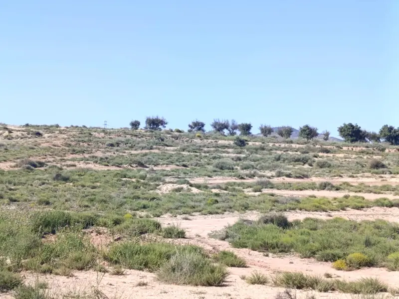 Landhaus in Desconocido, Costa Blanca — Foto 2 von 6