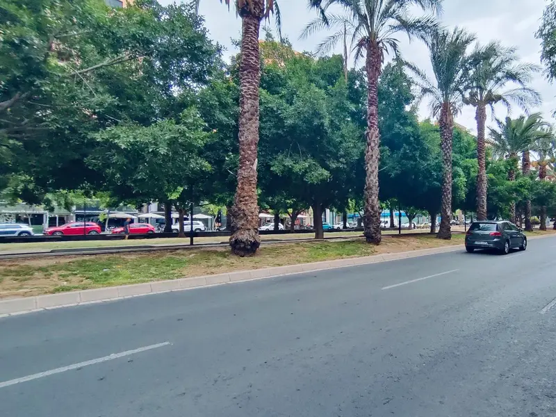Gewerbe in Alicante, Costa Blanca — Foto 13 von 29