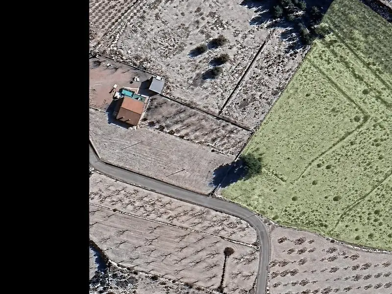 Terreno en Monóvar, Costa Blanca — foto 4 de 4