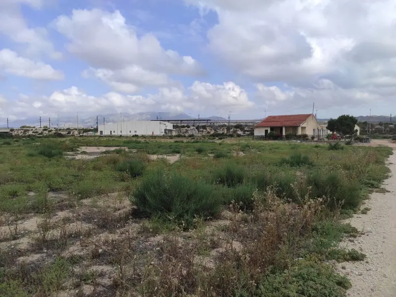 Casa de campo en Elche, Costa Blanca