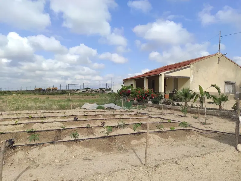 Maison de campagne à Elche, Costa Blanca — photo 12 sur 22