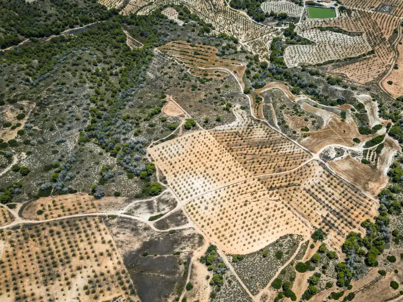 Maison de campagne à Desconocido, Costa Blanca — photo 3 sur 6