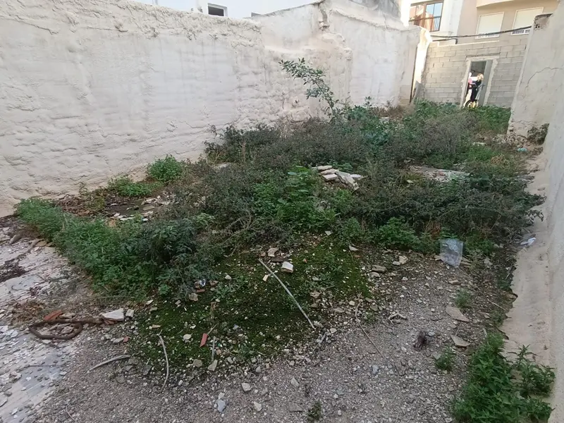 Grundstück in Elche, Costa Blanca — Foto 6 von 16
