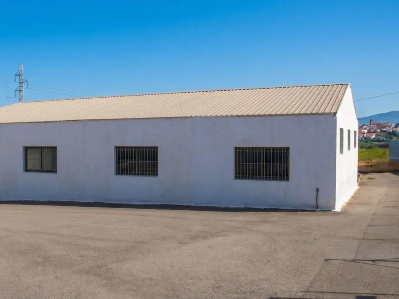 Local comercial en Elche, Costa Blanca — foto 3 de 20