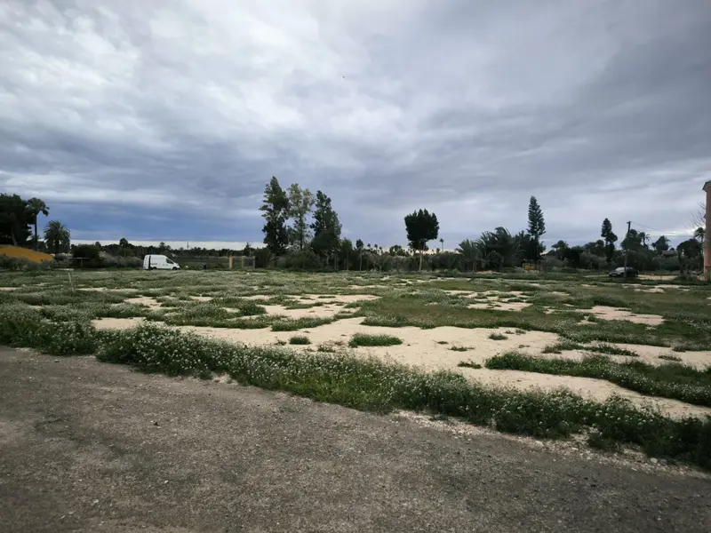 Maison de campagne à Elche, Costa Blanca — photo 6 sur 19