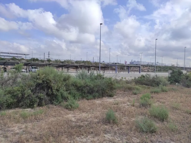 Maison de campagne à Elche, Costa Blanca — photo 21 sur 22