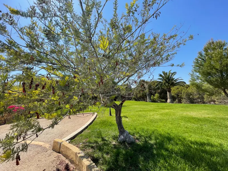Villa de 7 dormitorios en Alfaz del Pi, Costa Blanca — foto 3 de 30