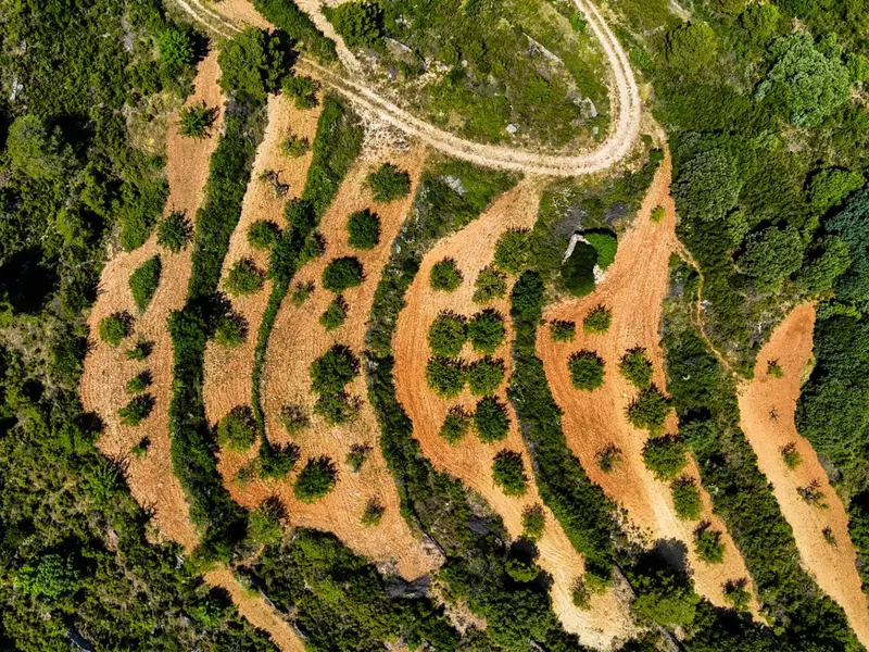 أرض en Desconocido, Costa Blanca — صورة 5 من 30