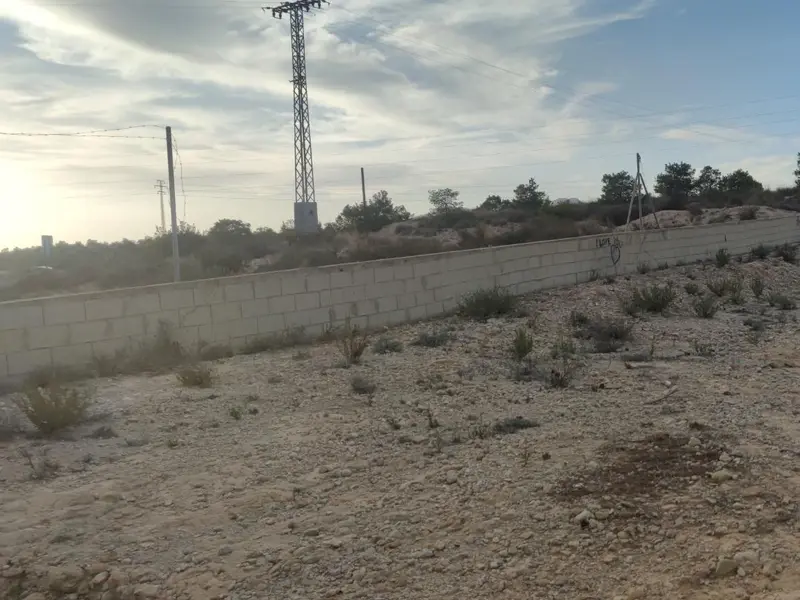 Land in Elche, Costa Blanca — photo 4 of 14
