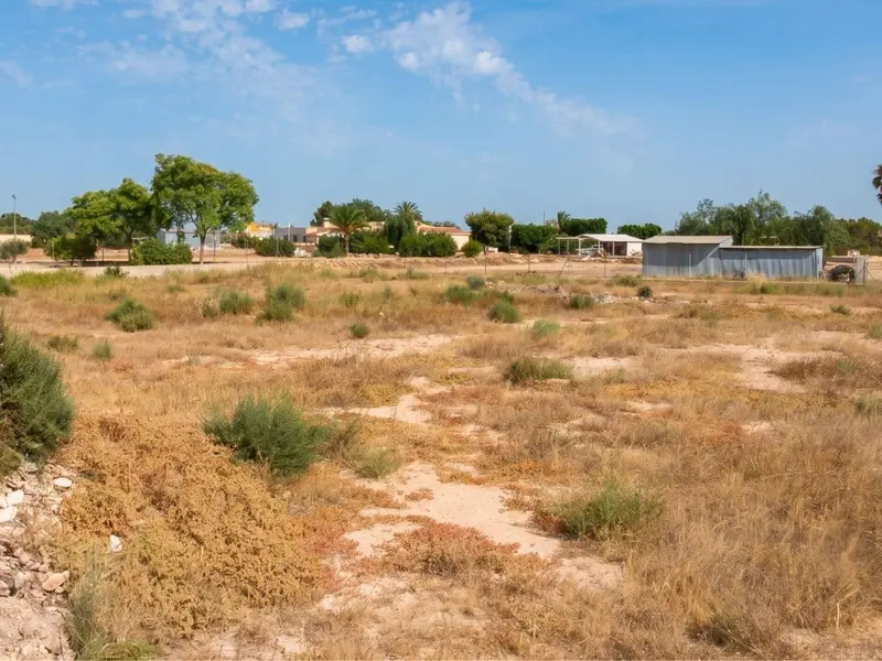 Local comercial en Elche, Costa Blanca — foto 19 de 20