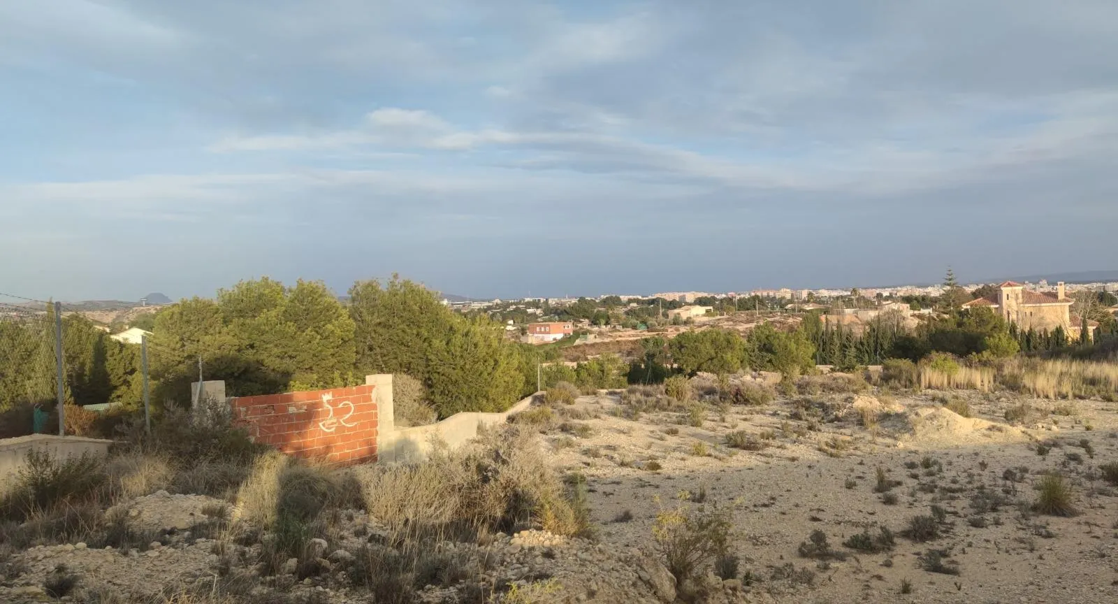 Land in Elche, Costa Blanca — photo 1 of 14