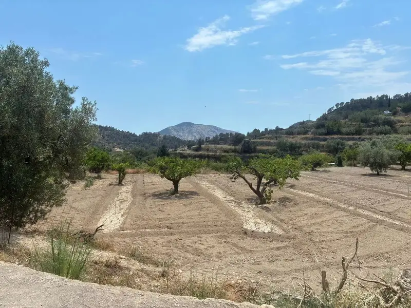 Terreno en Desconocido, Costa Blanca — foto 5 de 5