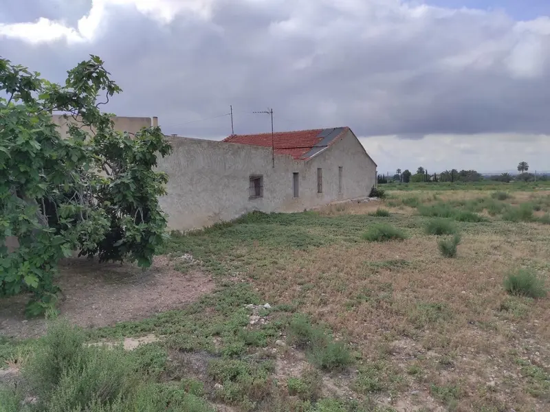Maison de campagne à Elche, Costa Blanca — photo 19 sur 22