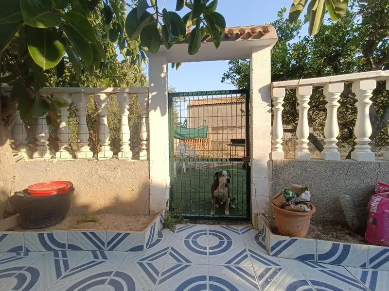 Villa mit 3 Schlafzimmern in Murcia, Costa Blanca — Foto 20 von 21
