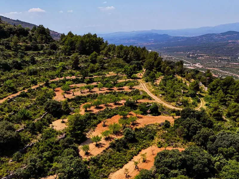 أرض en Desconocido, Costa Blanca — صورة 15 من 30