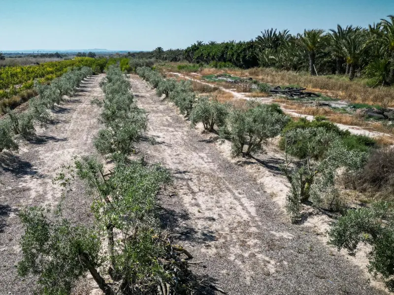 Casa de campo en Crevillent, Costa Blanca — foto 11 de 30