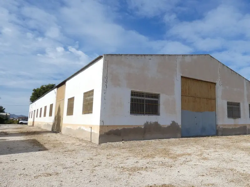 Local comercial en Dolores, Costa Blanca — foto 28 de 30