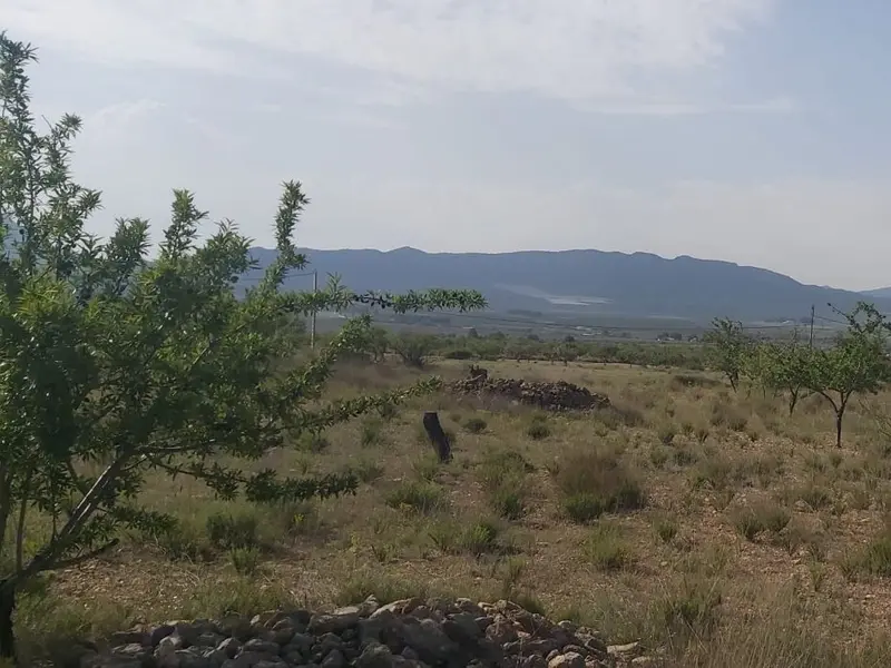 Terreno en Desconocido, Costa Blanca — foto 5 de 11