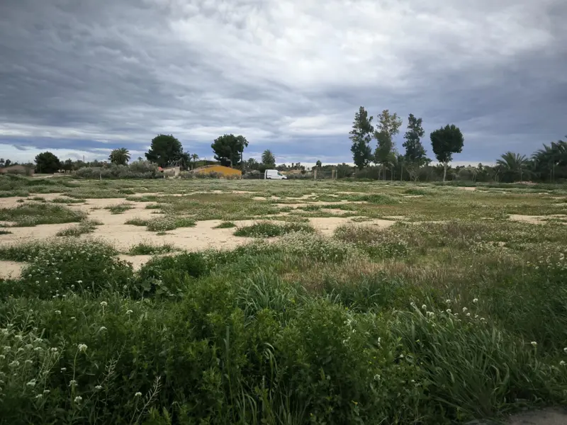 Maison de campagne à Elche, Costa Blanca — photo 10 sur 19