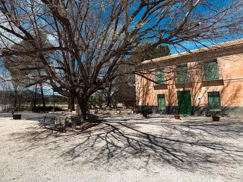 Villa mit 2 Schlafzimmern in Monóvar, Costa Blanca — Foto 13 von 30