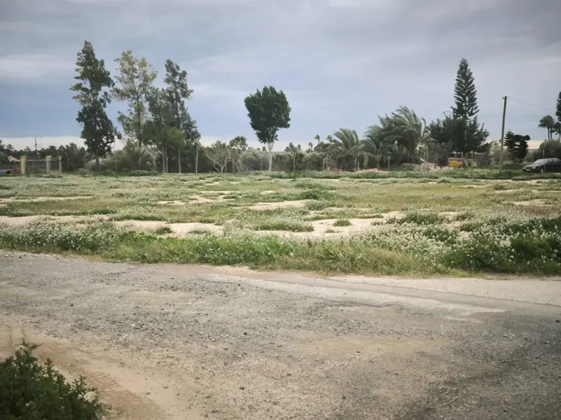 Maison de campagne à Elche, Costa Blanca — photo 14 sur 19