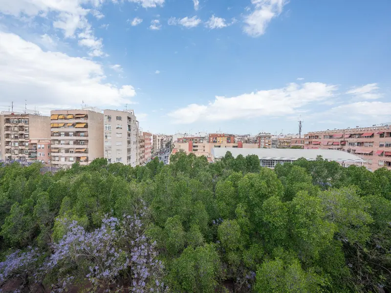 Appartement met 3 slaapkamers in Elche, Costa Blanca — foto 30 van 30